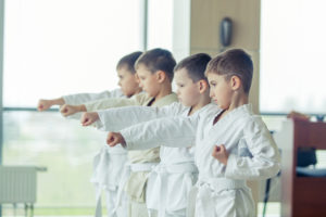 young, beautiful, successful multi ethical karate kids in karate position